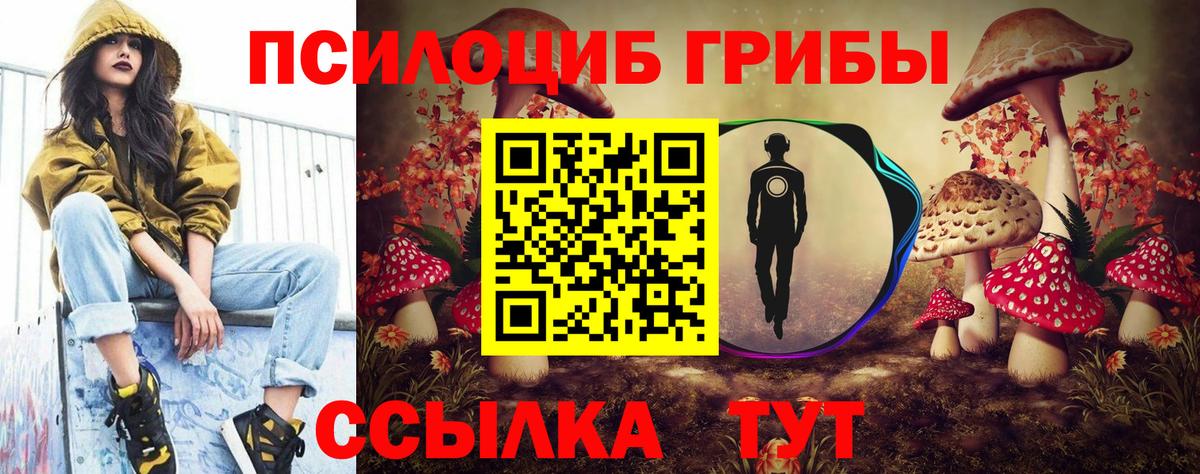 Галлюциногенные грибы Cubensis  Вход с VPN  Ульяновск 