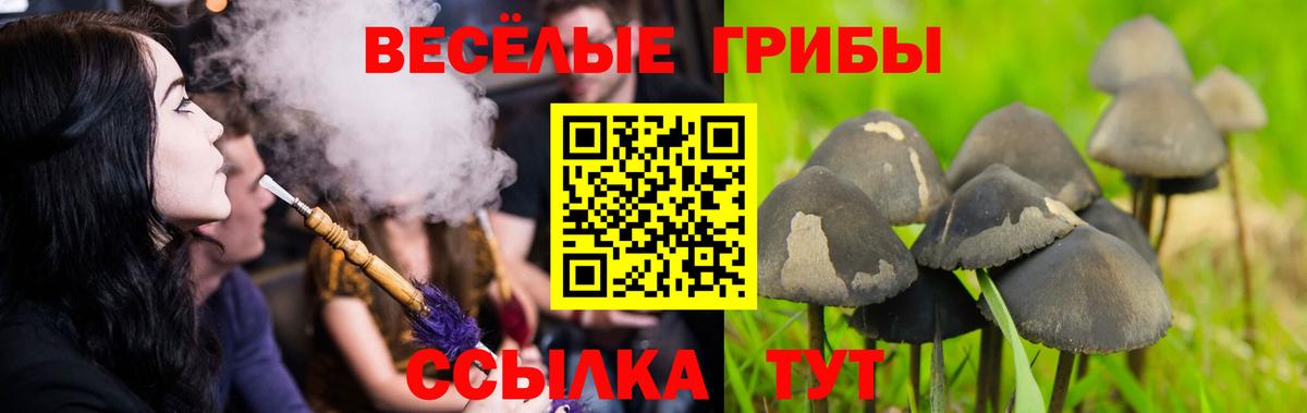 Марихуана  ЭКСТАЗИ  Вход с VPN  Ульяновск  Меф МЯУ МЯУ кристаллы  ГАШ  ГАШ 